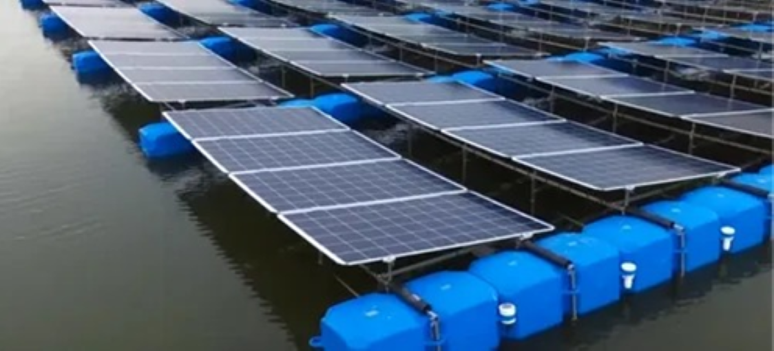 Renewable Energy & Development